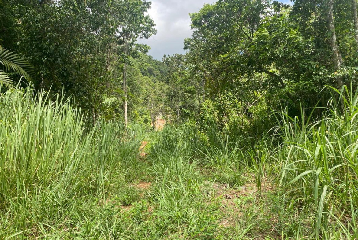 Eighteenth image of Lot 4-8 East Coopers Hill Heights in Coopers Hill, St. Andrew, Jamaica - property is For Sale