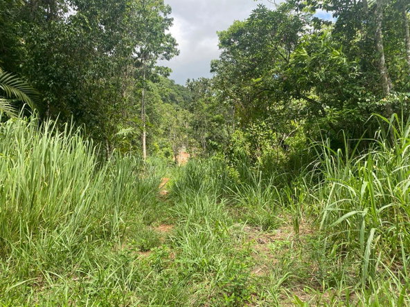 Eighteenth image of Lot 4-8 East Coopers Hill Heights in Coopers Hill, St. Andrew, Jamaica - property is For Sale