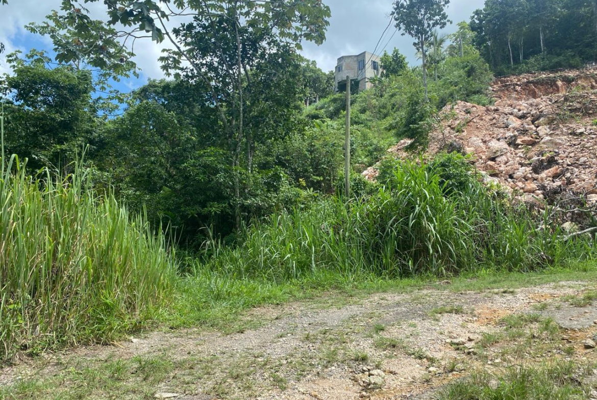 Twentieth image of Lot 4-8 East Coopers Hill Heights in Coopers Hill, St. Andrew, Jamaica - property is For Sale