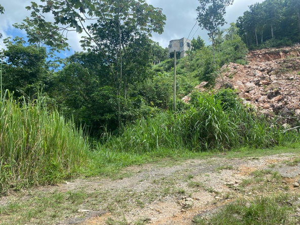 Twentieth image of Lot 4-8 East Coopers Hill Heights in Coopers Hill, St. Andrew, Jamaica - property is For Sale