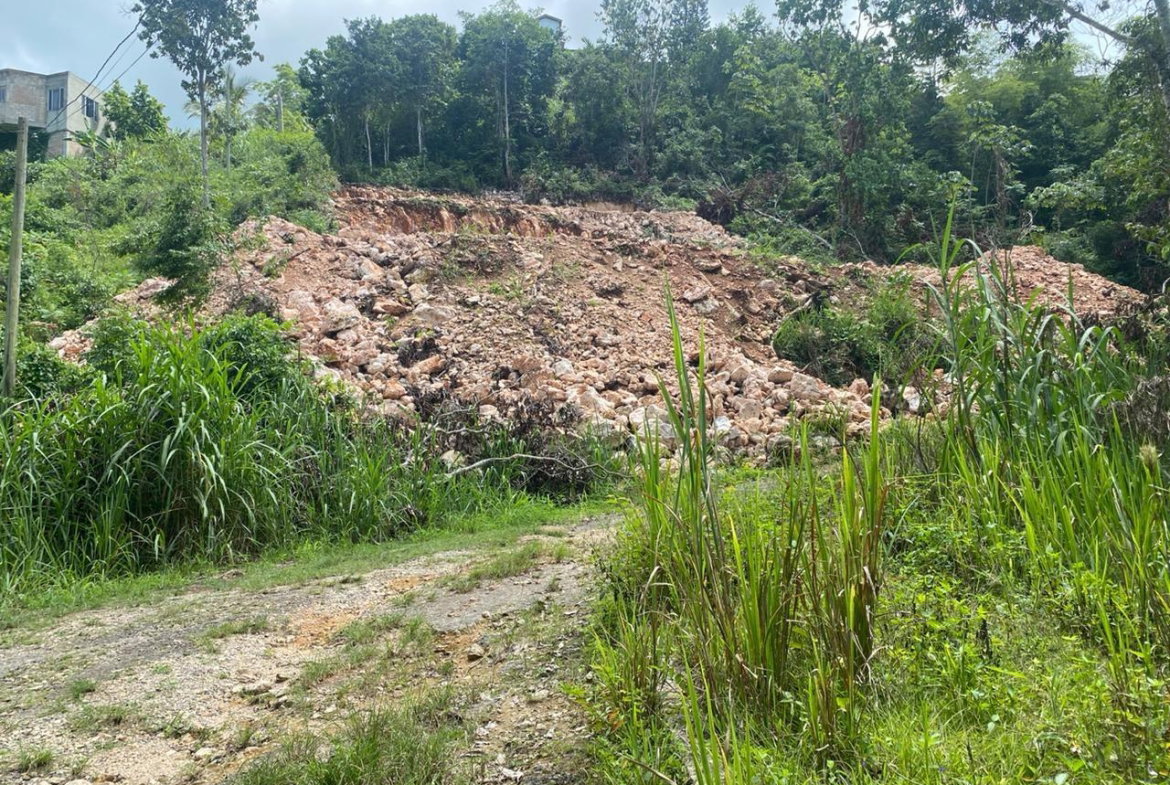 Twenty-First image of Lot 4-8 East Coopers Hill Heights in Coopers Hill, St. Andrew, Jamaica - property is For Sale