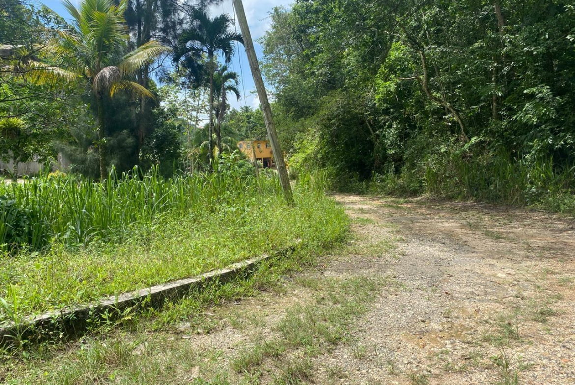 Twenty-Second image of Lot 4-8 East Coopers Hill Heights in Coopers Hill, St. Andrew, Jamaica - property is For Sale