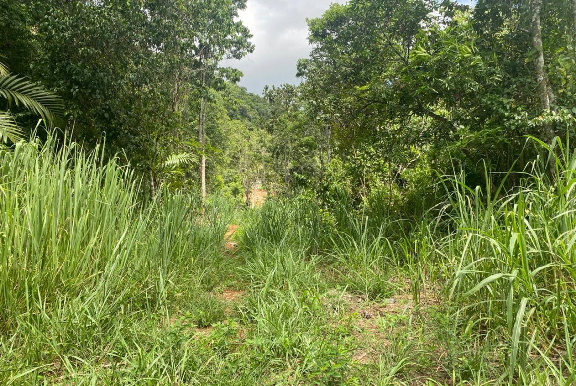 Twenty-Third image of Lot 4-8 East Coopers Hill Heights in Coopers Hill, St. Andrew, Jamaica - property is For Sale