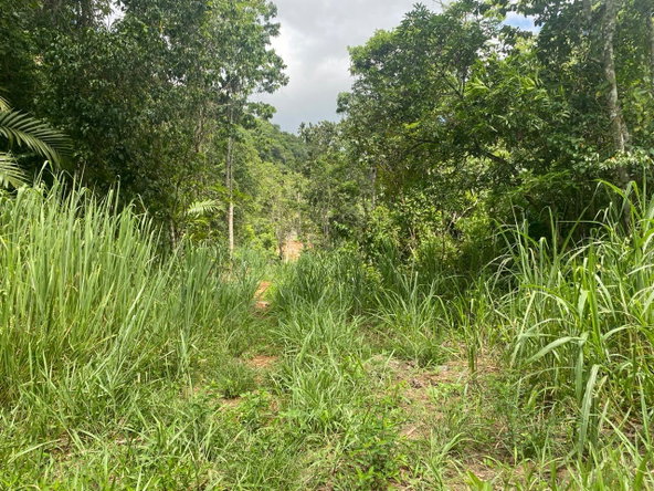 Twenty-Third image of Lot 4-8 East Coopers Hill Heights in Coopers Hill, St. Andrew, Jamaica - property is For Sale
