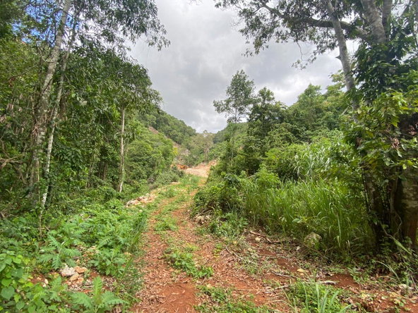 Twenty-Fourth image of Lot 4-8 East Coopers Hill Heights in Coopers Hill, St. Andrew, Jamaica - property is For Sale