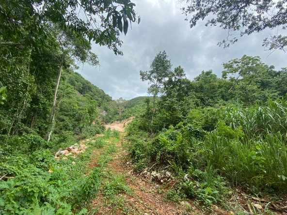 Twenty-Sixth image of Lot 4-8 East Coopers Hill Heights in Coopers Hill, St. Andrew, Jamaica - property is For Sale