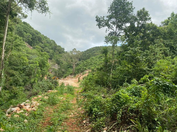 Twenty-Seventh image of Lot 4-8 East Coopers Hill Heights in Coopers Hill, St. Andrew, Jamaica - property is For Sale