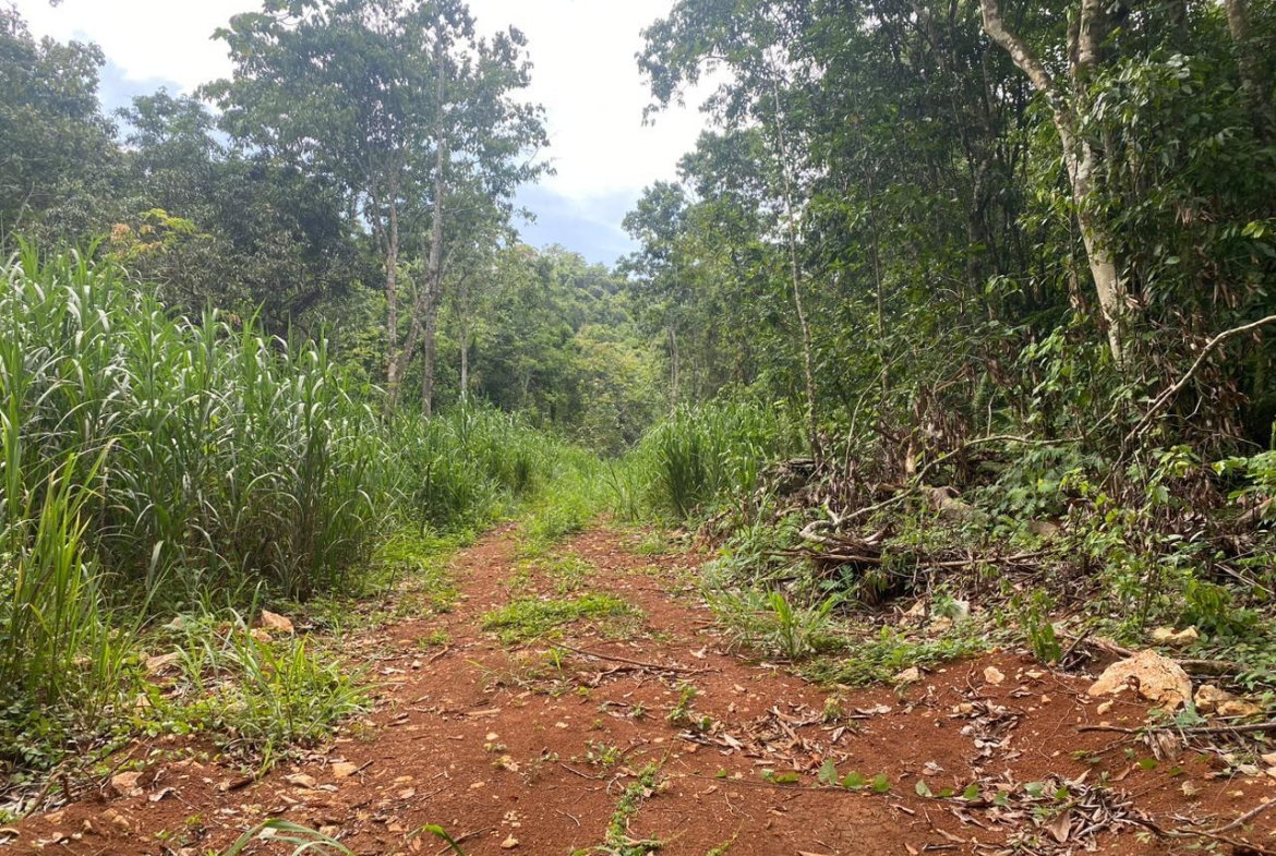 Twenty-Eighth image of Lot 4-8 East Coopers Hill Heights in Coopers Hill, St. Andrew, Jamaica - property is For Sale