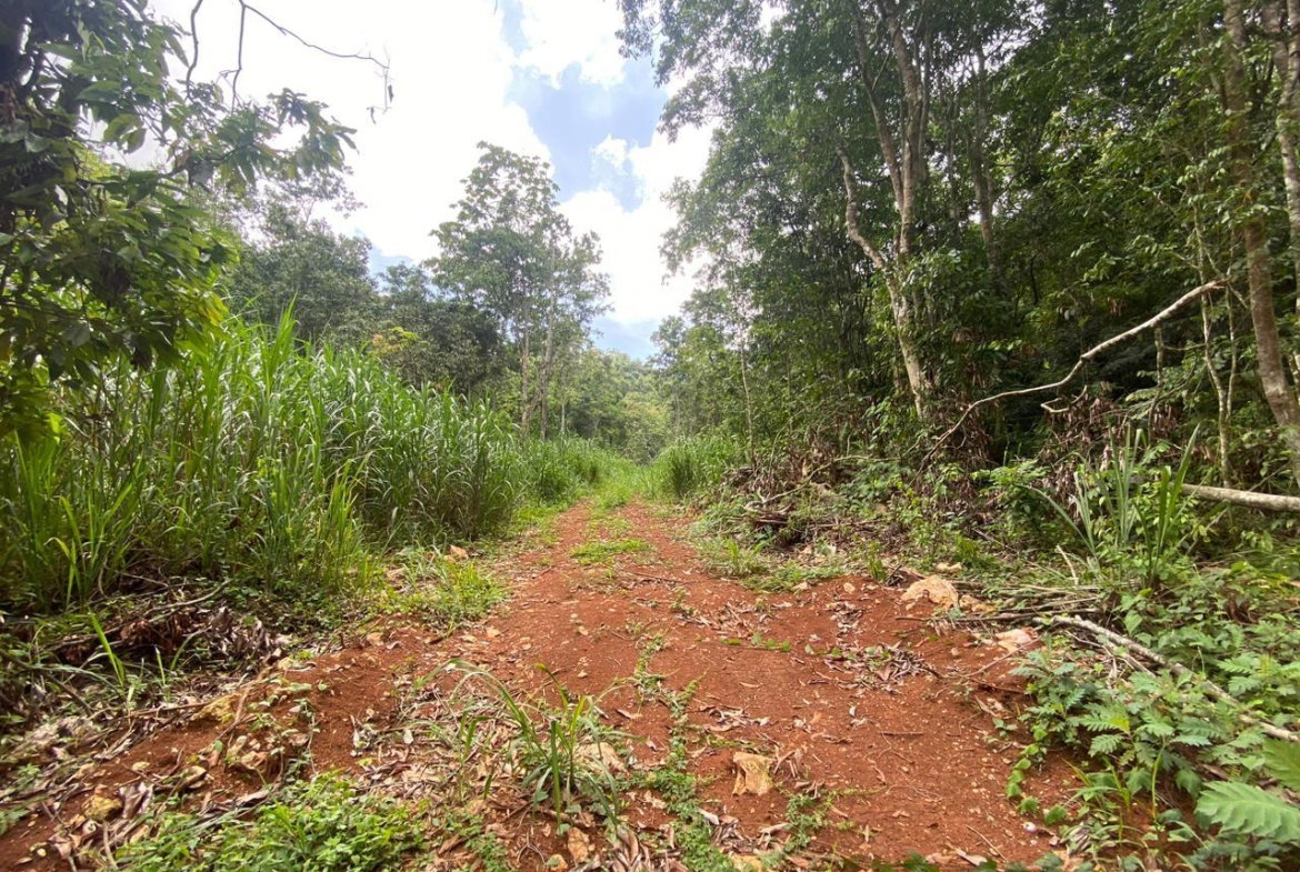 Twenty-Ninth image of Lot 4-8 East Coopers Hill Heights in Coopers Hill, St. Andrew, Jamaica - property is For Sale