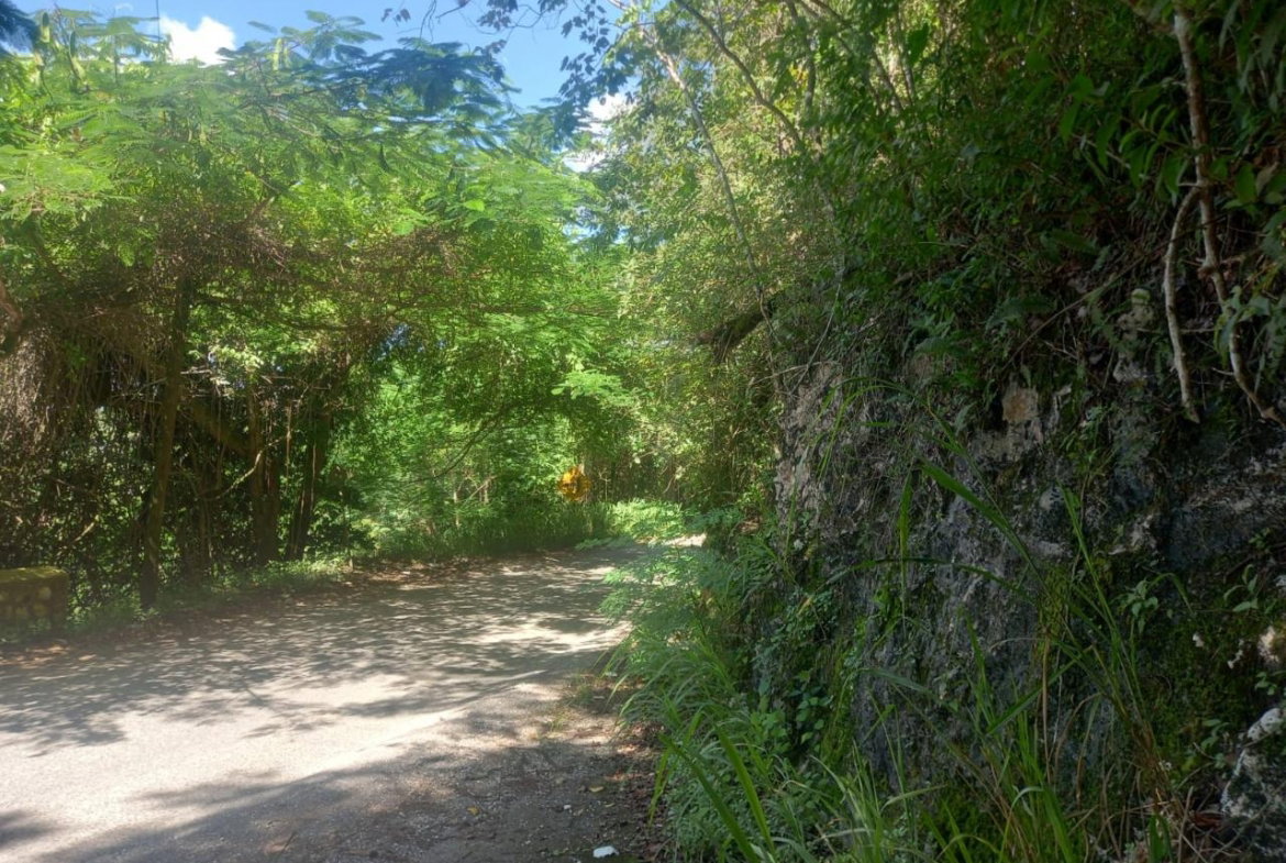 Thirtieth image of Lot 4-8 East Coopers Hill Heights in Coopers Hill, St. Andrew, Jamaica - property is For Sale