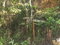 First image of Lot 2-8 East Coopers Hill Heights in Coopers Hill, St. Andrew, Jamaica - property is For Sale