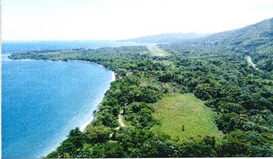 Second image of 257-261 Hermitage Farm in Hope Bay, Portland, Jamaica - property is For Sale