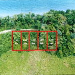 First image of 257-261 Hermitage Farm in Hope Bay, Portland, Jamaica - property is For Sale