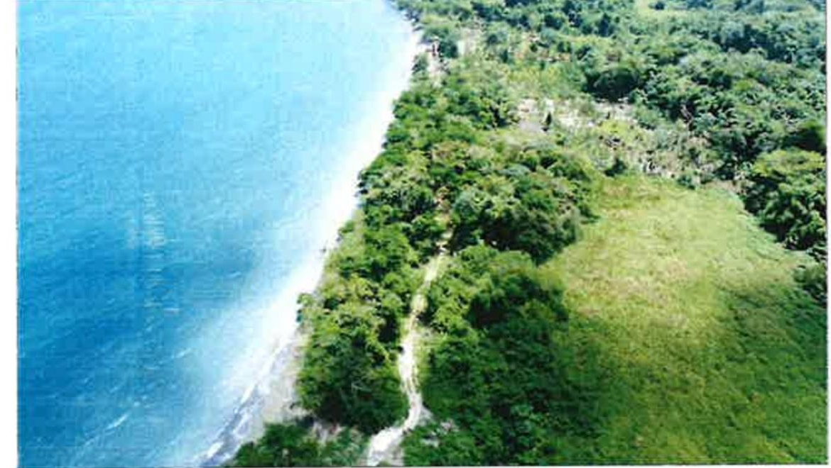 Third image of 257-261 Hermitage Farm in Hope Bay, Portland, Jamaica - property is For Sale