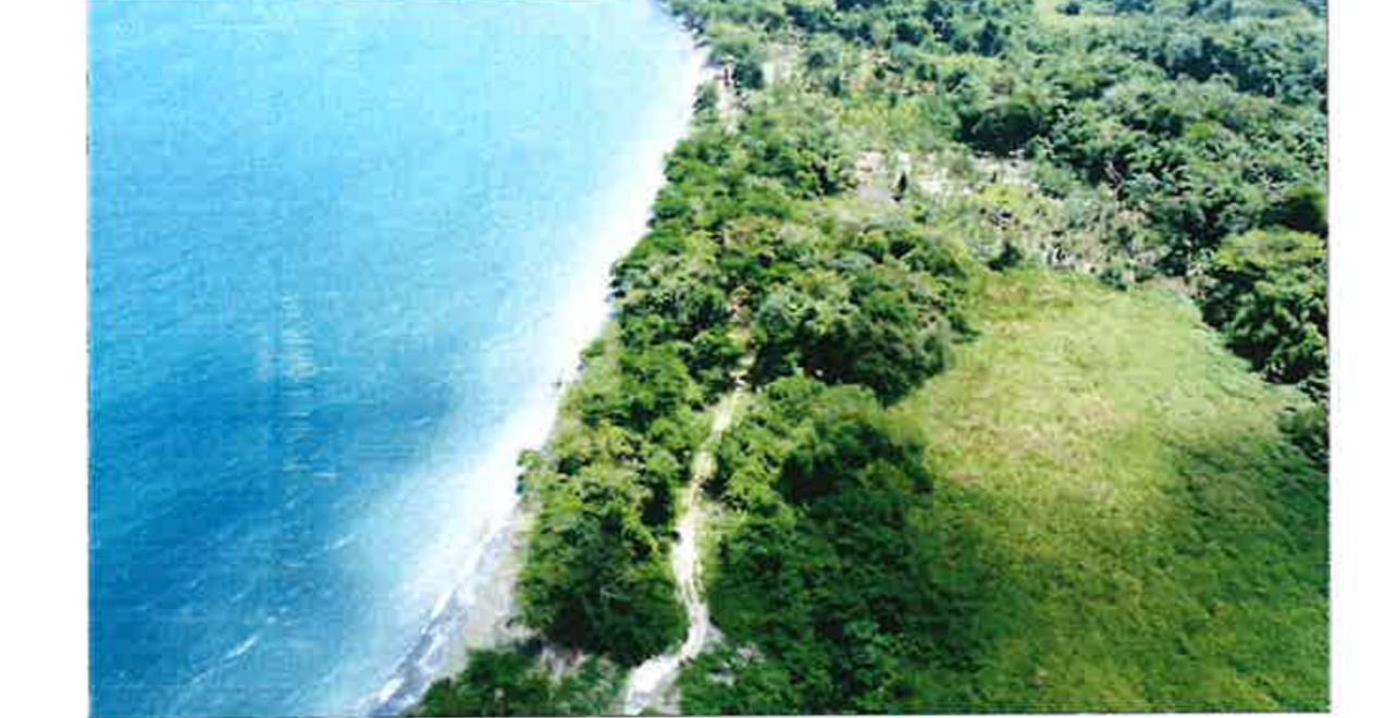 Third image of 257-261 Hermitage Farm in Hope Bay, Portland, Jamaica - property is For Sale