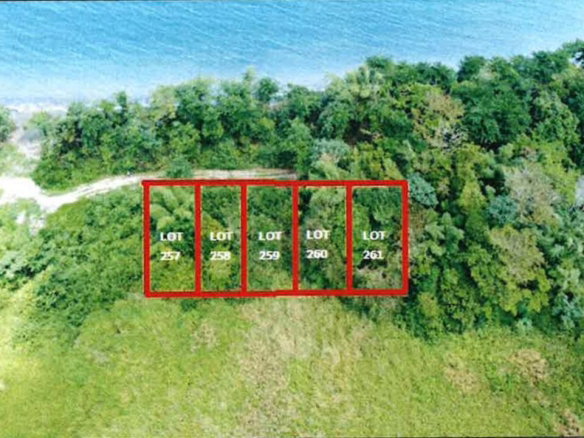 First image of 257-261 Hermitage Farm in Hope Bay, Portland, Jamaica - property is For Sale
