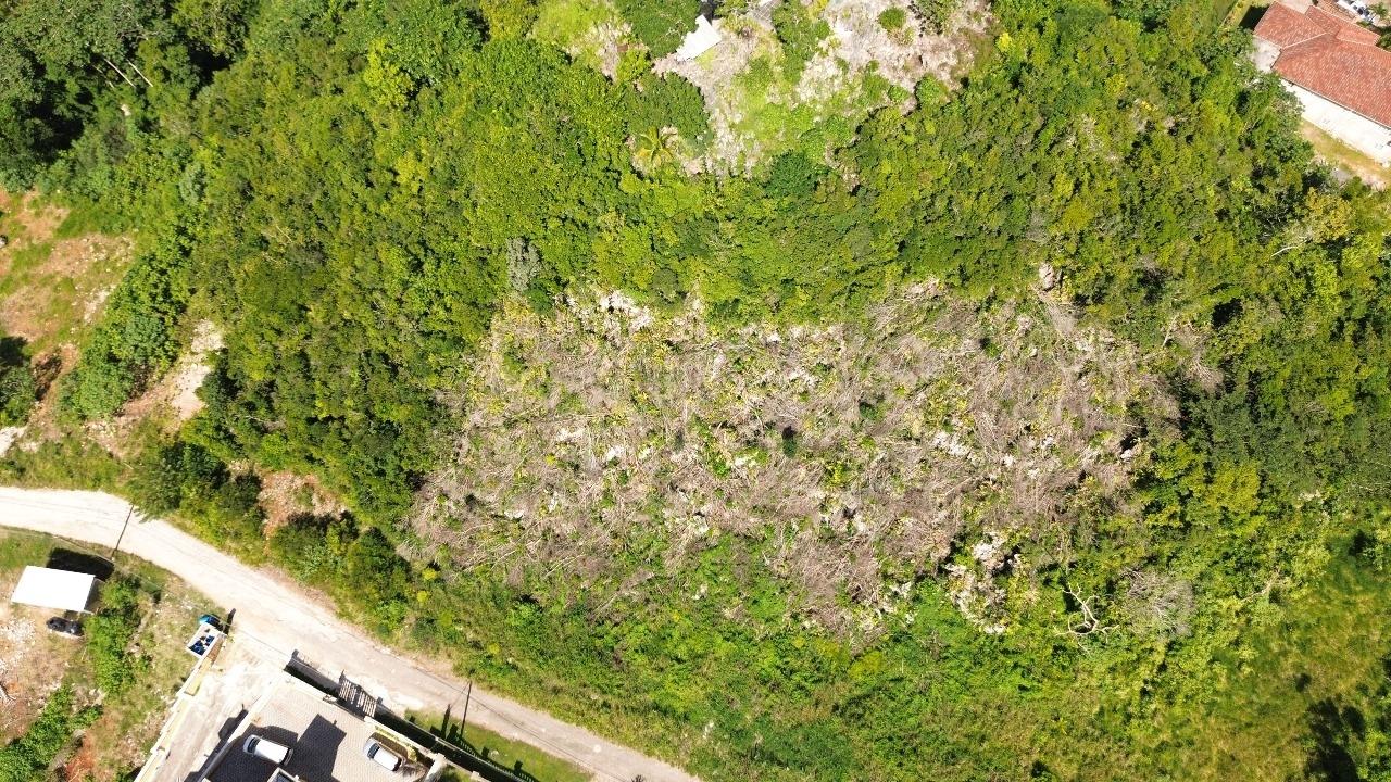 Prime-Residential-Lots-for-Sale-in-Jamaica-Perfect-for-Development Third image of Philam Drive in Mandeville, Manchester, Jamaica - property is For Sale