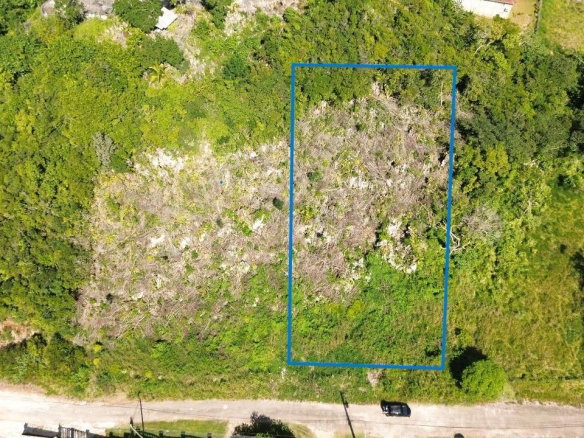 First image of Philam Drive in Mandeville, Manchester, Jamaica - property is For Sale