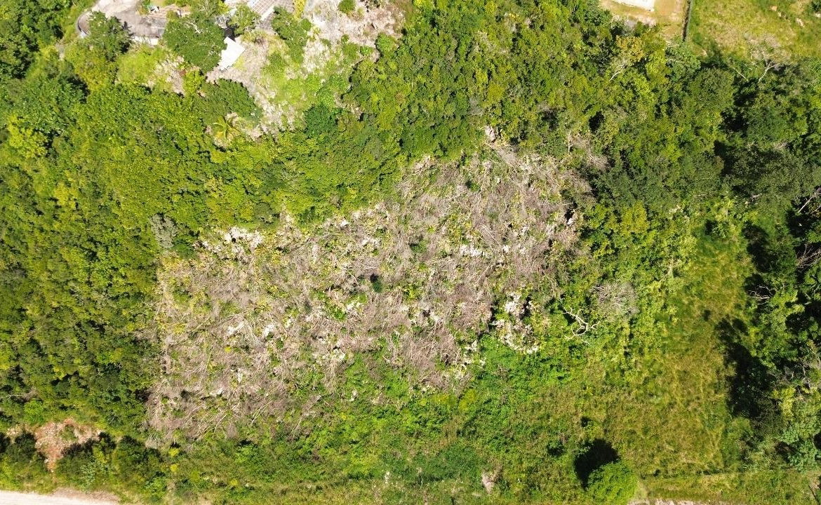 Fourth image of Philham Drive in Mandeville, Manchester, Jamaica - property is For Sale
