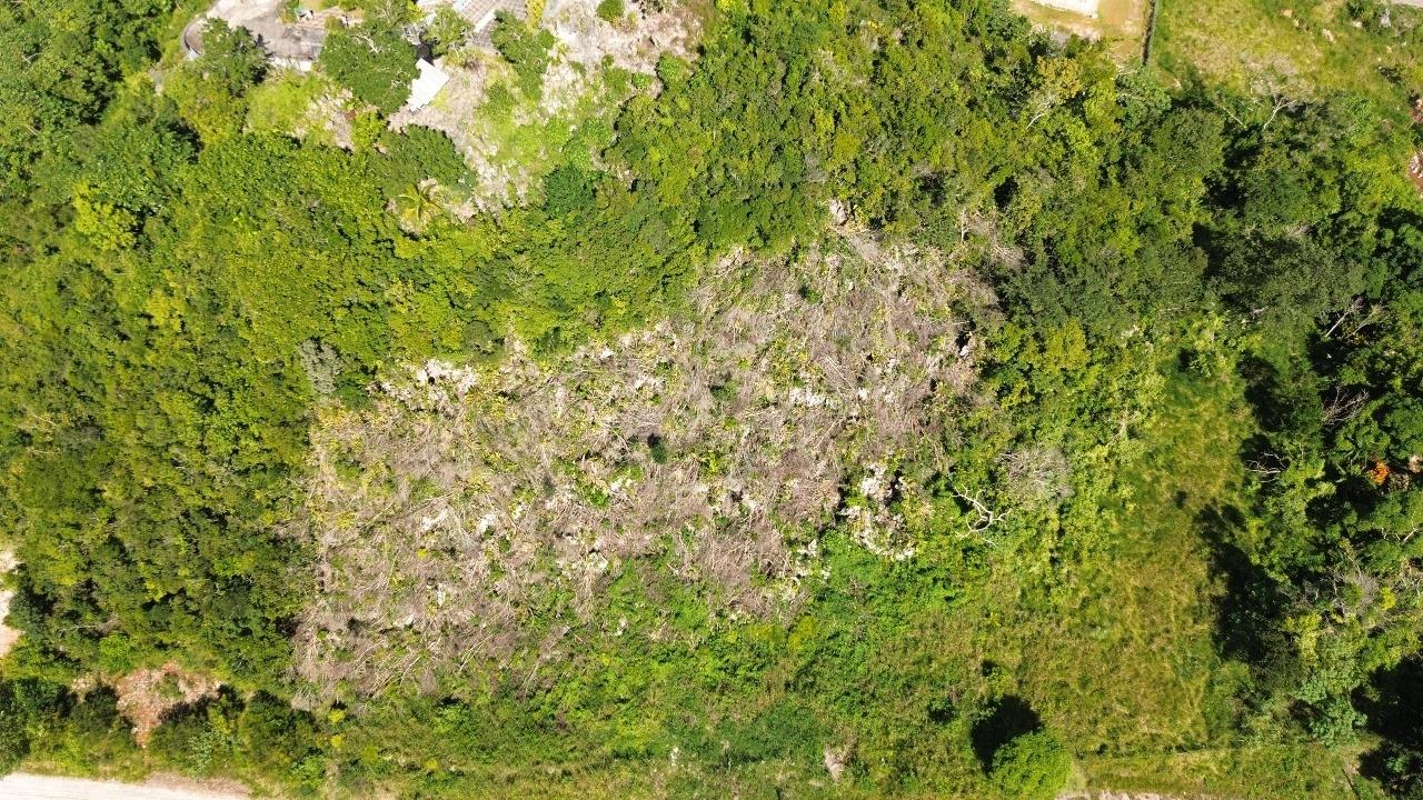 Prime-Residential-Lots-for-Sale-in-Jamaica-Perfect-for-Development Fourth image of Philham Drive in Mandeville, Manchester, Jamaica - property is For Sale