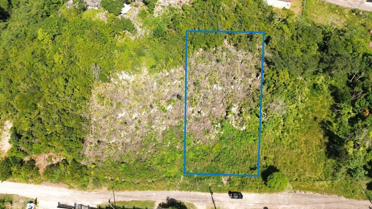 Prime-Residential-Lots-for-Sale-in-Jamaica-Perfect-for-Development First image of Philam Drive in Mandeville, Manchester, Jamaica - property is For Sale