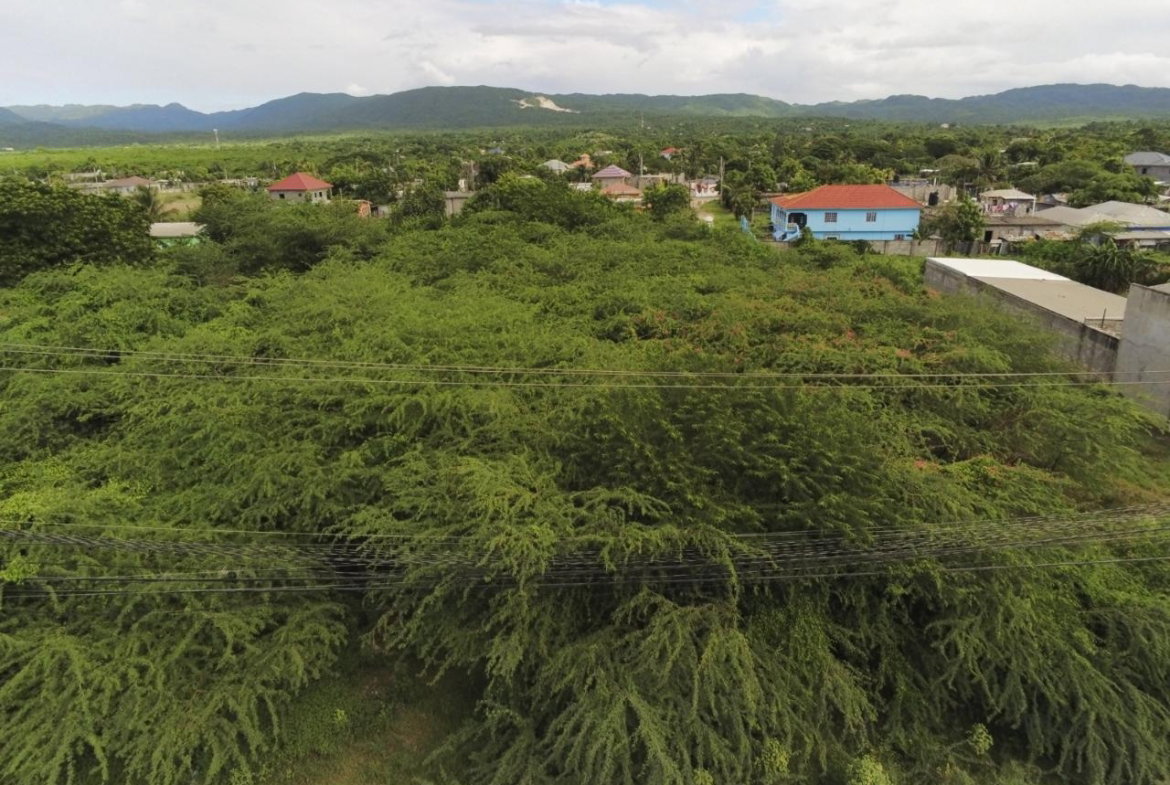 Eleventh image of 26 & 27 Muirhead Road in May Pen, Clarendon, Jamaica - property is For Sale
