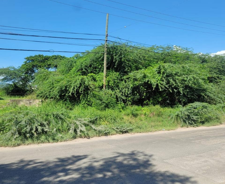 Thirteenth image of 26 & 27 Muirhead Road in May Pen, Clarendon, Jamaica - property is For Sale