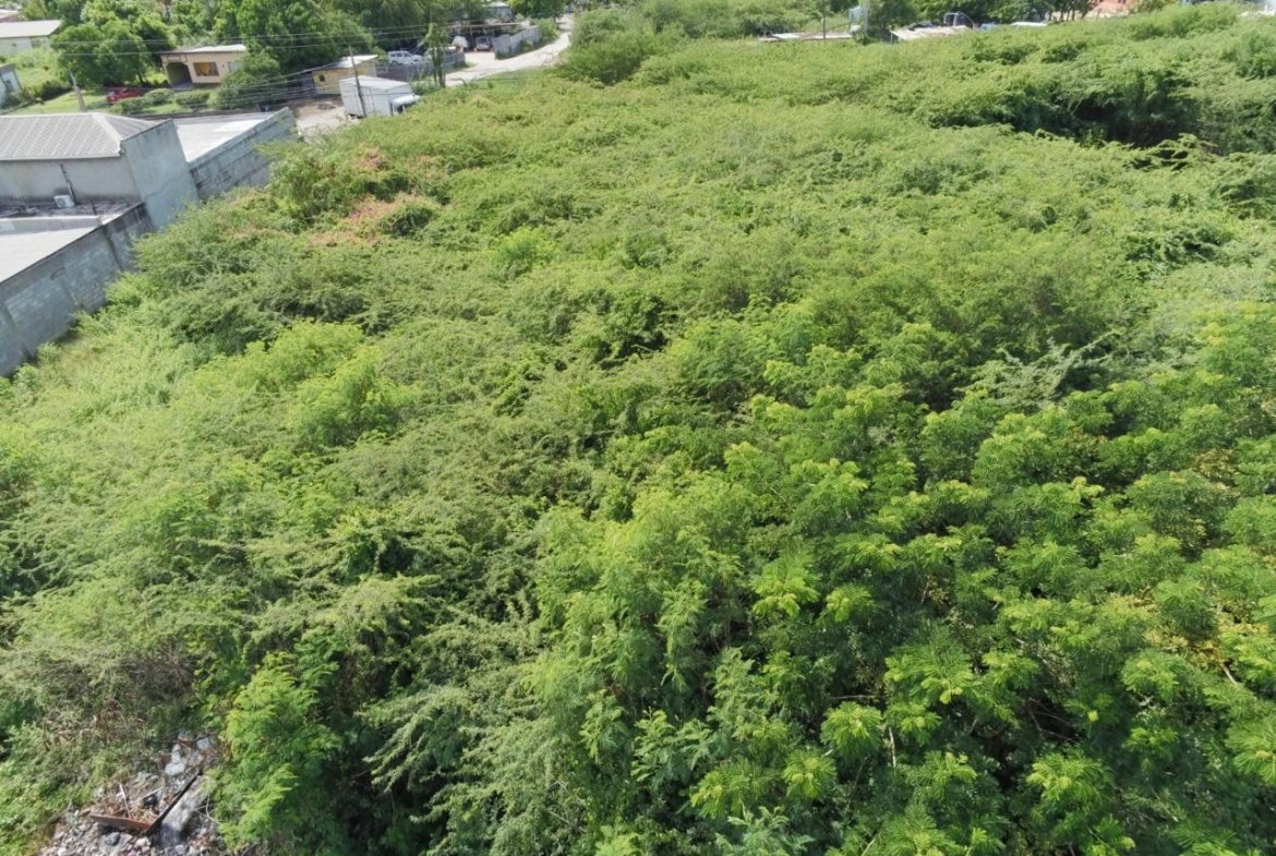Third image of 26 & 27 Muirhead Road in May Pen, Clarendon, Jamaica - property is For Sale