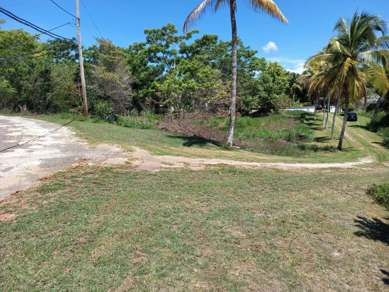 Second image of Upton Road in Ocho Rios, St. Ann, Jamaica - property is For Sale