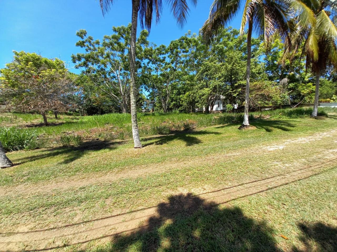 Eleventh image of Upton Road in Ocho Rios, St. Ann, Jamaica - property is For Sale
