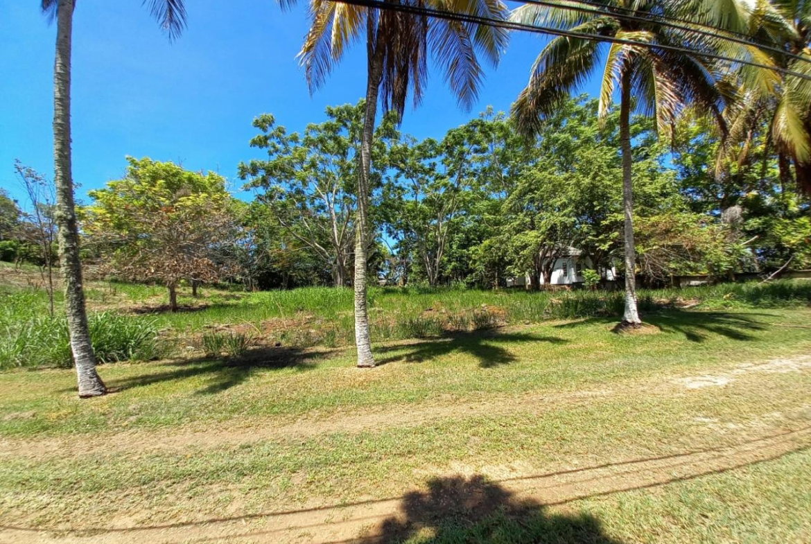 Twelfth image of Upton Road in Ocho Rios, St. Ann, Jamaica - property is For Sale