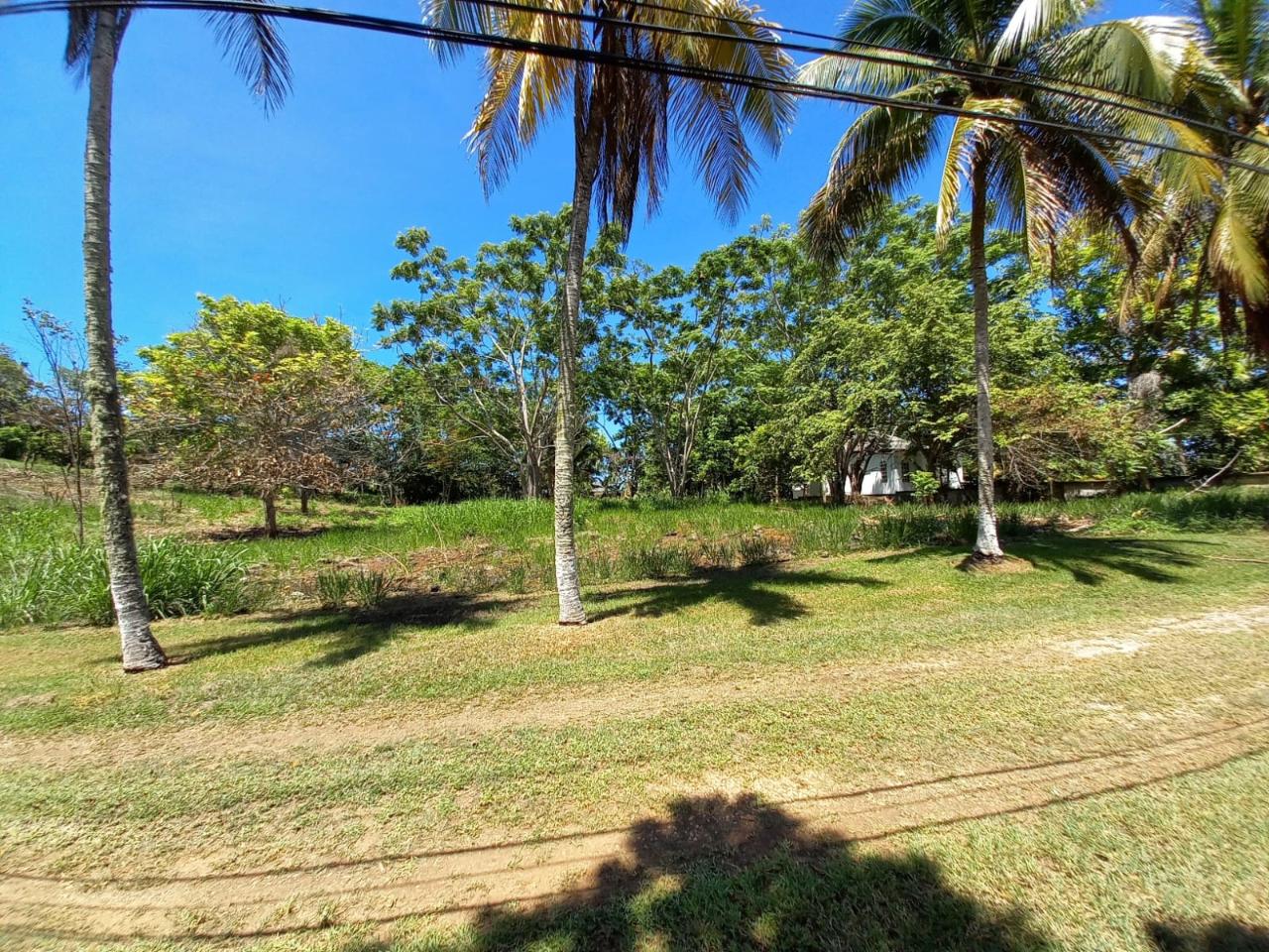 Twelfth image of Upton Road in Ocho Rios, St. Ann, Jamaica - property is For Sale