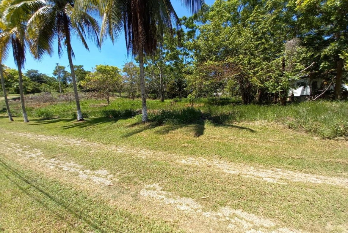 First image of Upton Road in Ocho Rios, St. Ann, Jamaica - property is For Sale