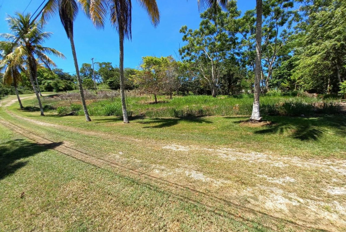 Thirteenth image of Upton Road in Ocho Rios, St. Ann, Jamaica - property is For Sale