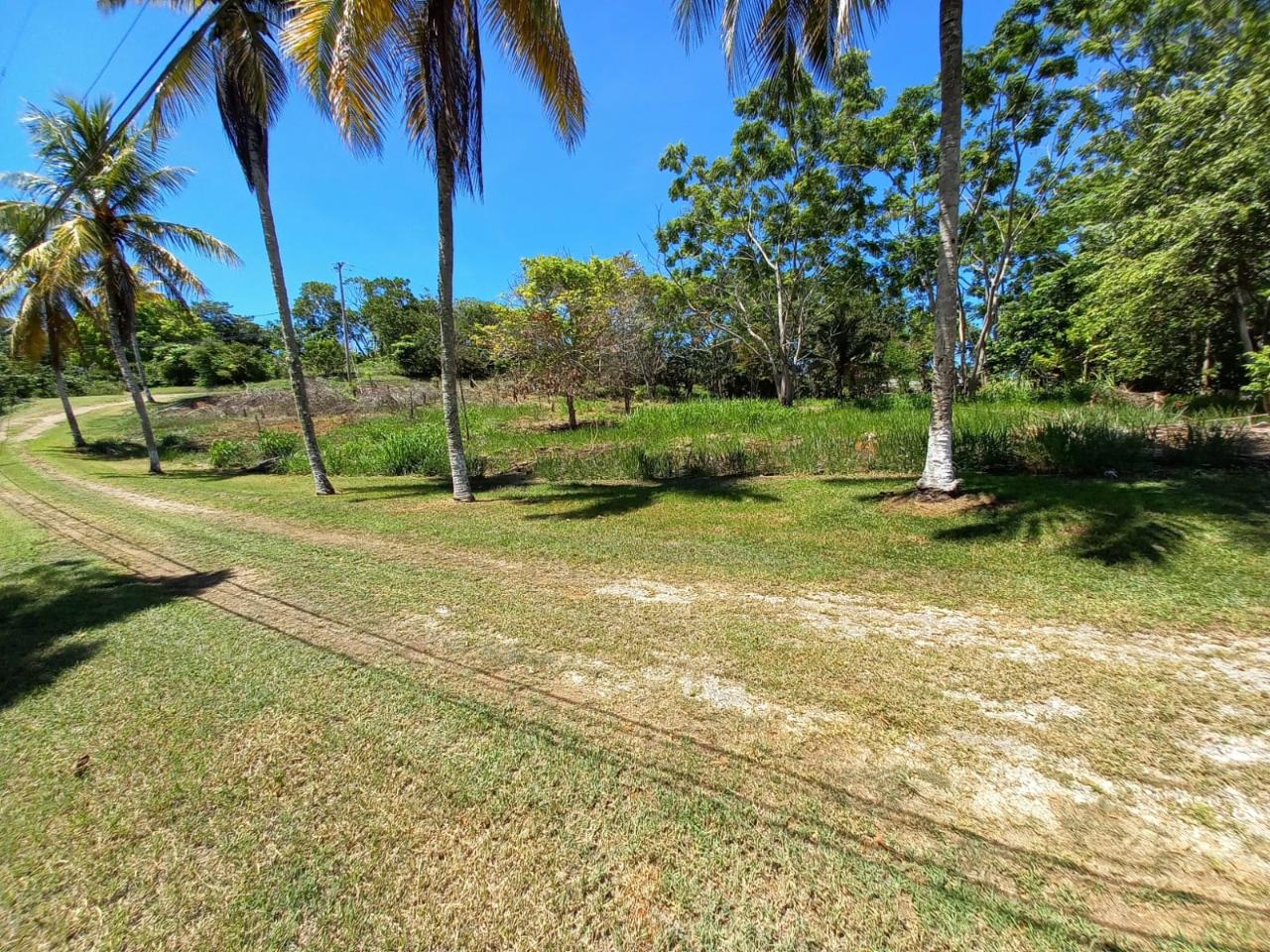 Thirteenth image of Upton Road in Ocho Rios, St. Ann, Jamaica - property is For Sale