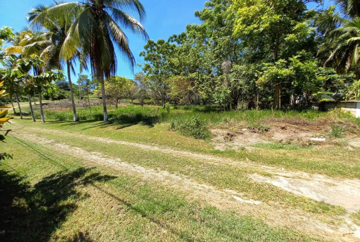 Fourth image of Upton Road in Ocho Rios, St. Ann, Jamaica - property is For Sale
