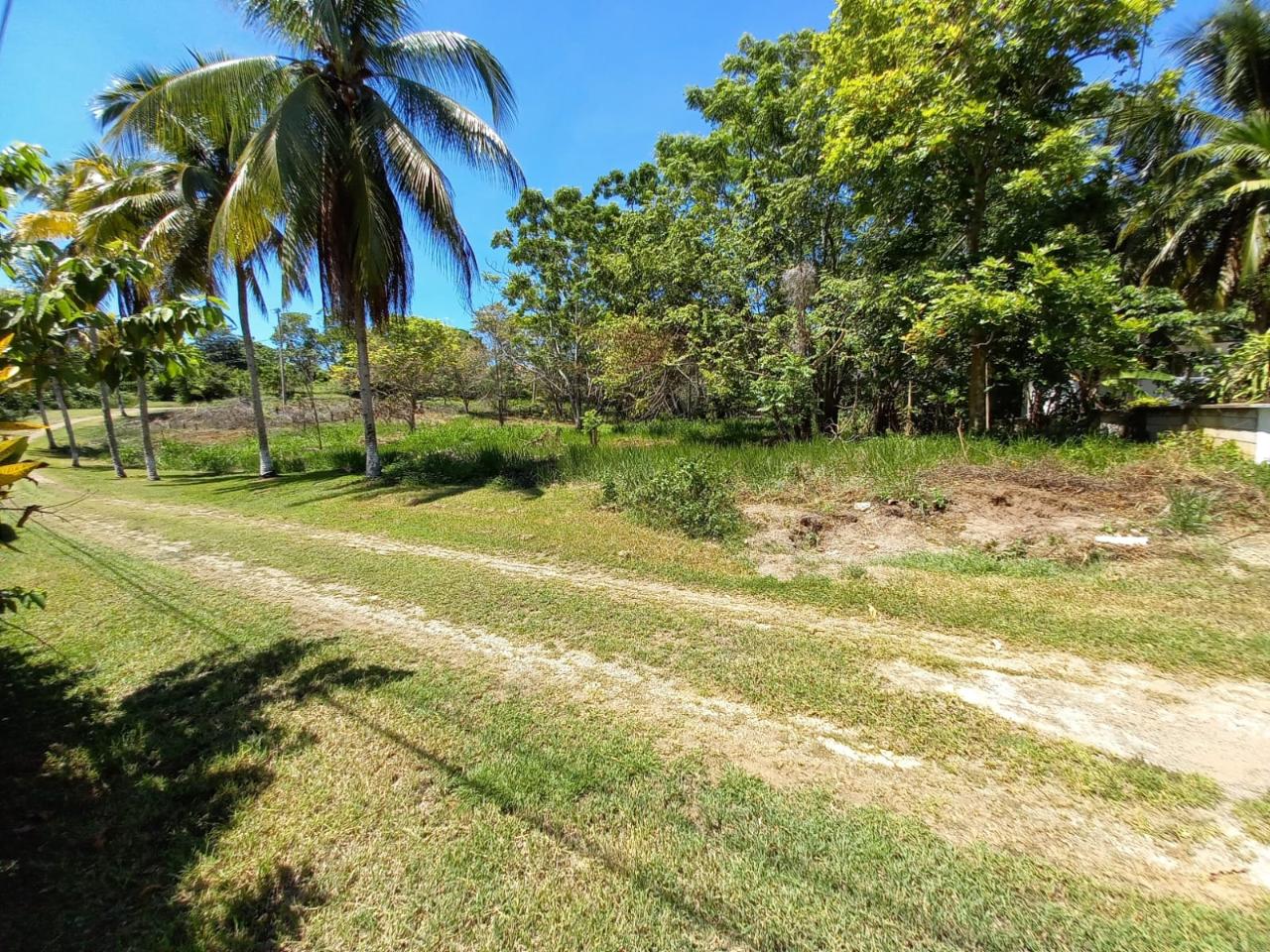Fourth image of Upton Road in Ocho Rios, St. Ann, Jamaica - property is For Sale