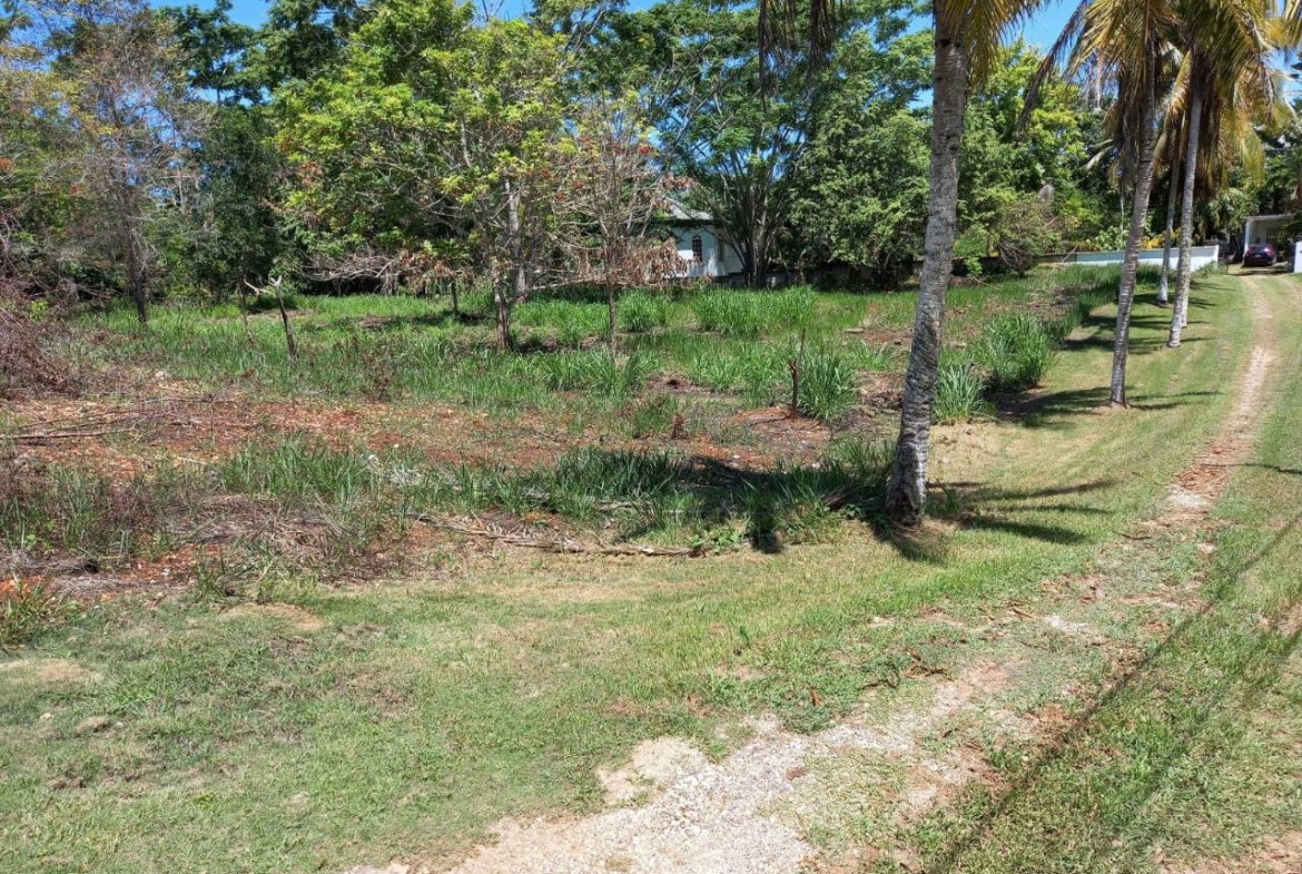Fifth image of Upton Road in Ocho Rios, St. Ann, Jamaica - property is For Sale