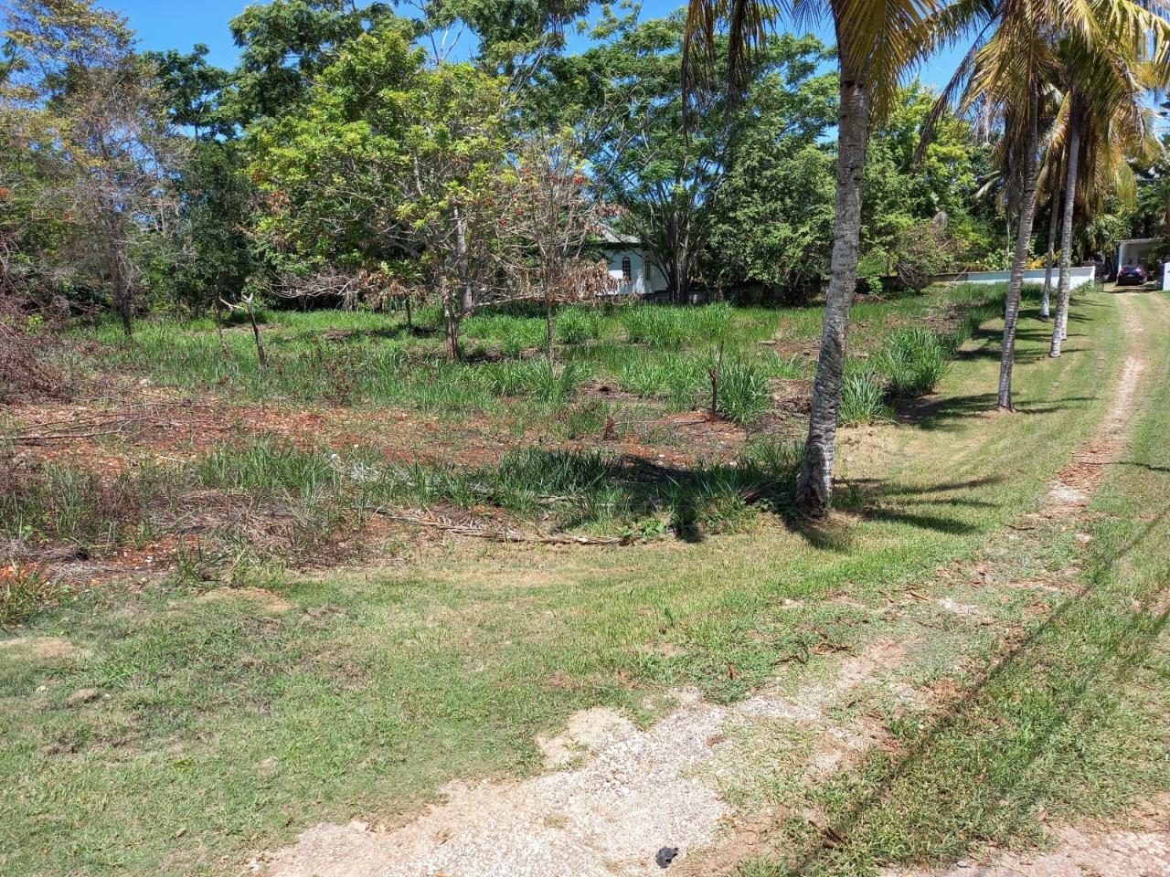 Fifth image of Upton Road in Ocho Rios, St. Ann, Jamaica - property is For Sale