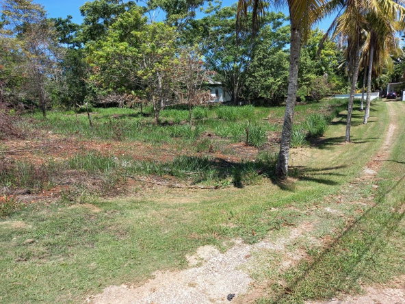 Fifth image of Upton Road in Ocho Rios, St. Ann, Jamaica - property is For Sale