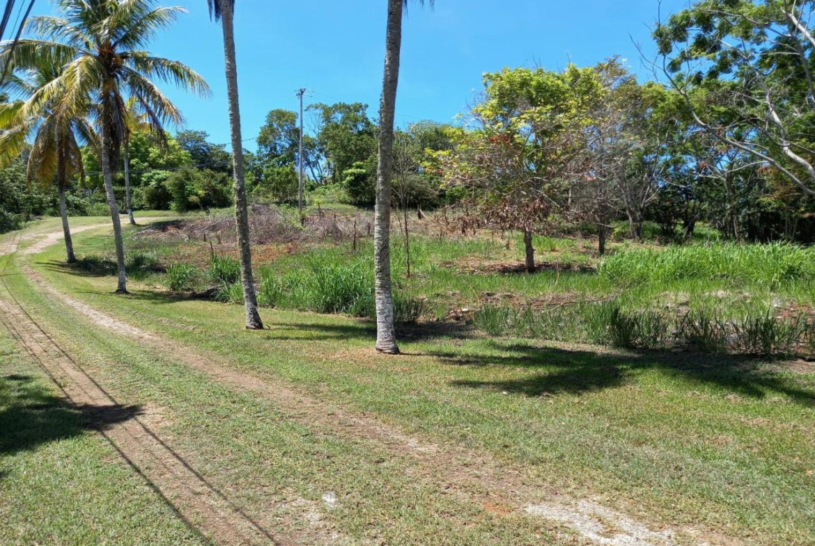 Sixth image of Upton Road in Ocho Rios, St. Ann, Jamaica - property is For Sale