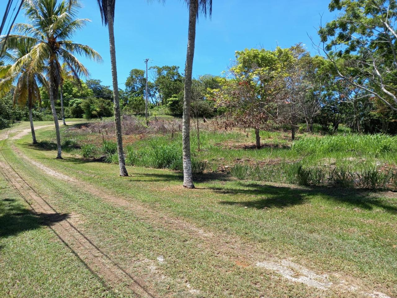 Sixth image of Upton Road in Ocho Rios, St. Ann, Jamaica - property is For Sale