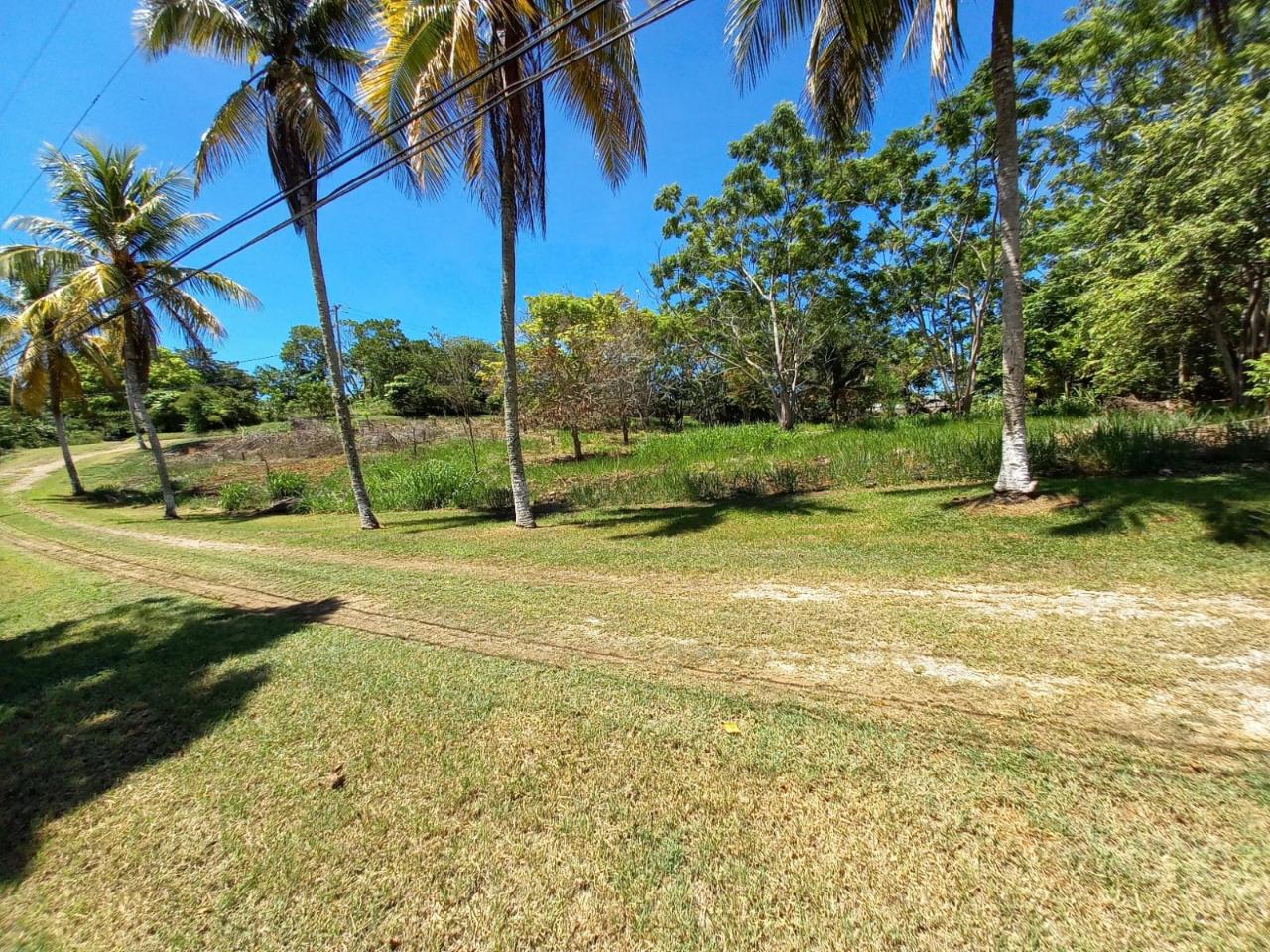 Tenth image of Upton Road in Ocho Rios, St. Ann, Jamaica - property is For Sale