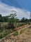 First image of 426d Vineyard Crescent in Old Harbour, St. Catherine, Jamaica - property is For Sale
