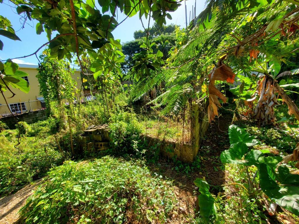 Thirteenth image of Williamsfield P.o, Willia in Williamsfield, Manchester, Jamaica - property is For Sale