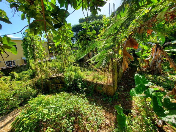 Thirteenth image of Williamsfield P.o, Willia in Williamsfield, Manchester, Jamaica - property is For Sale