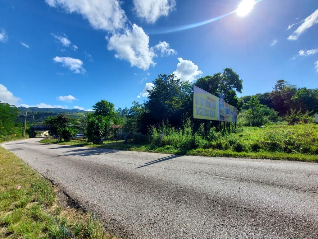 Sixteenth image of Williamsfield P.o, Willia in Williamsfield, Manchester, Jamaica - property is For Sale