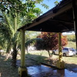 First image of Williamsfield P.o, Willia in Williamsfield, Manchester, Jamaica - property is For Sale