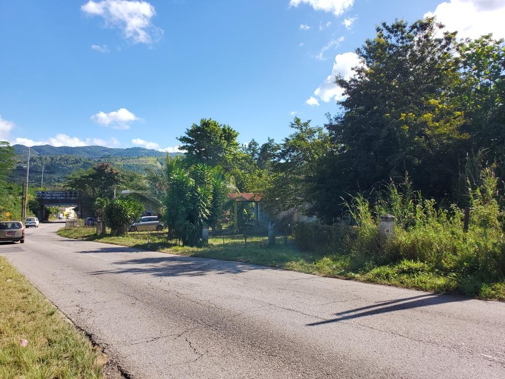 Seventeenth image of Williamsfield P.o, Willia in Williamsfield, Manchester, Jamaica - property is For Sale