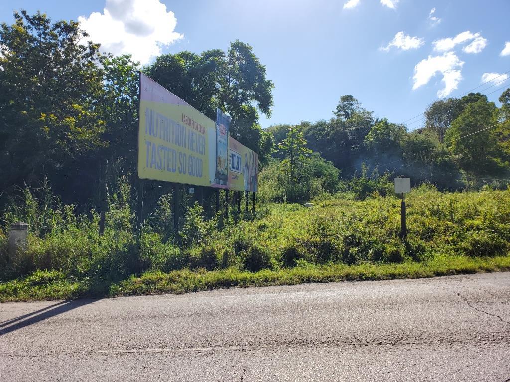 Eighteenth image of Williamsfield P.o, Willia in Williamsfield, Manchester, Jamaica - property is For Sale